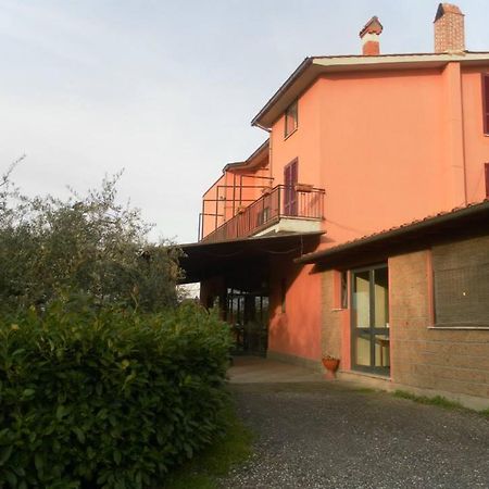 Il Contado B&B Castel Sant'Elia Екстериор снимка