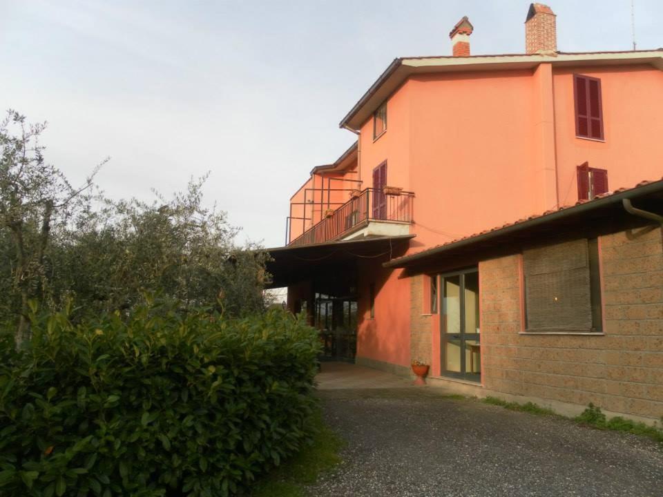 Il Contado B&B Castel Sant'Elia Екстериор снимка