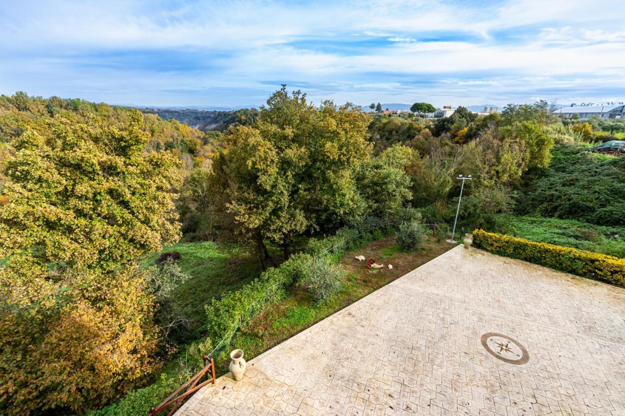 Il Contado B&B Castel Sant'Elia Екстериор снимка